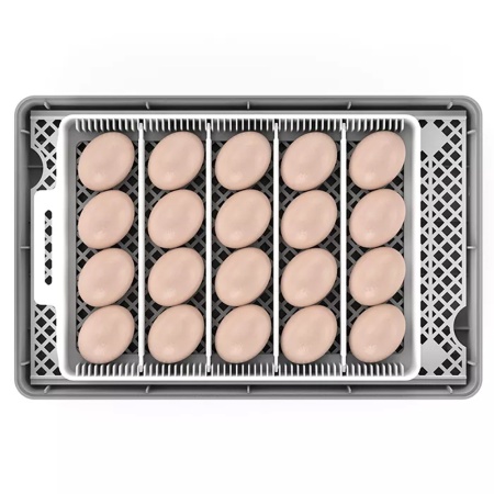 Инкубатор HHD 20 автоматический с овоскопом на 20 яиц