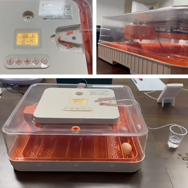 Инкубатор HHD 56H автоматический с контролем влажности и овоскопом на 220В/12В от сети и аккумулятора на 56 яиц