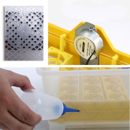 Инкубатор HHD 56 автоматический 220В/12В от сети и аккумулятора на 56 яиц