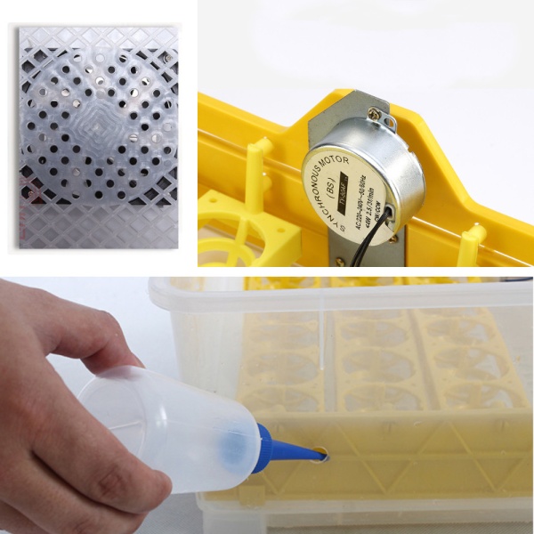 Инкубатор HHD 48 автоматический 220В/12В от сети и аккумулятора на 48 яиц