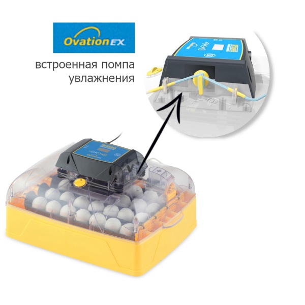 Инкубатор Brinsea Ovation EX 28 автоматический для яиц