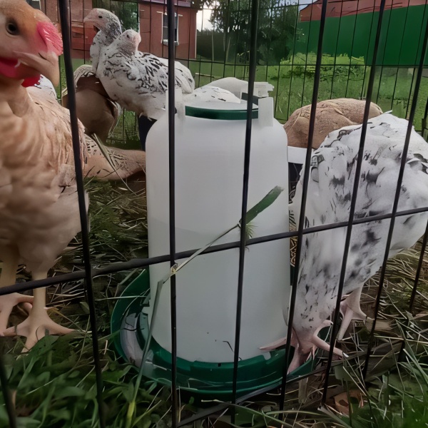 Поилка вакуумная 3 л 