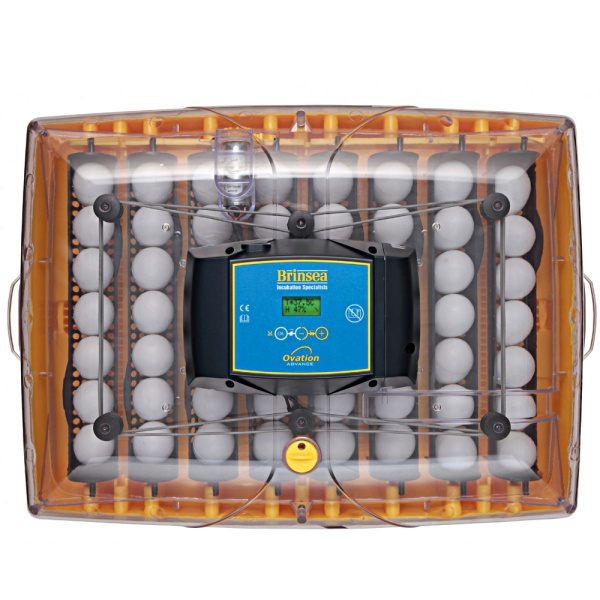 Инкубатор Brinsea Ovation Advance 56 автоматический для яиц