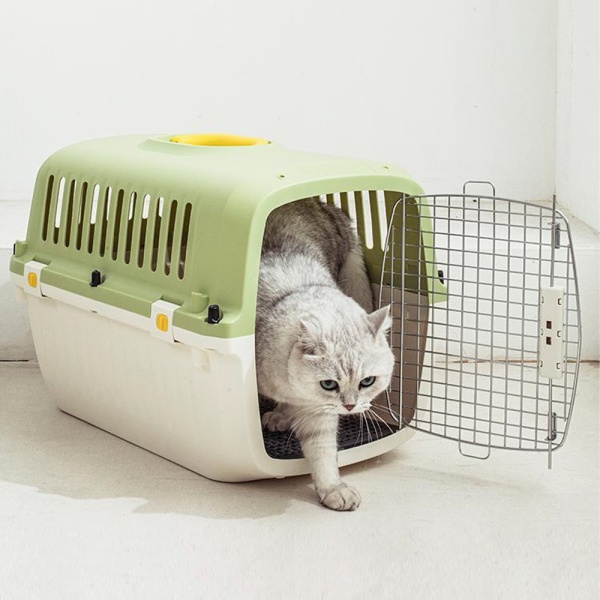 Переноска Transport 52x35x34 см для кошек и собак Pet Choice, стандарт IATA, зеленая