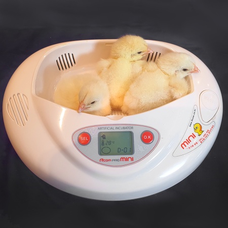 Инкубатор Rcom Mini PRO автоматический для яиц