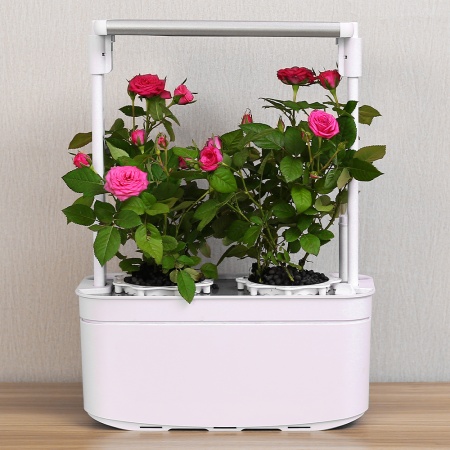 Гидропонная установка HobbyFarm Mini DQ6200-LB-2, домашний умный смарт сад, 2 ячейки, с фитолампой