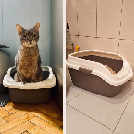 Лоток для кошек с высокими бортиками Sanitaire Range 51х39х24 см, коричневый