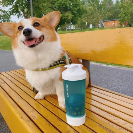 Поилка-кормушка дорожная Pawgether PT1 для собак и кошек, 4 в 1, зеленая