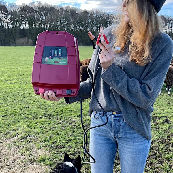 Электропастух OLLI 450 B PLUS от аккумулятора