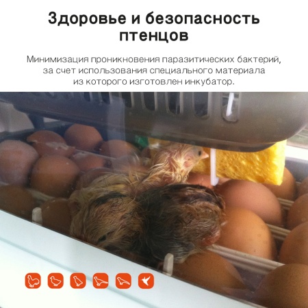 Инкубатор Rcom King Suro 20 MAX автоматический для яиц