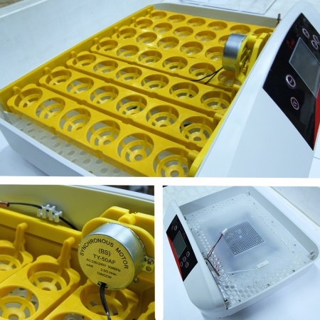 Инкубатор HHD 42A автоматический на 42 яйца