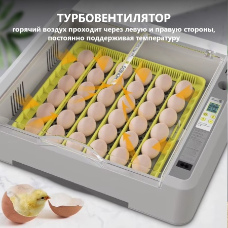 Инкубатор HHD 36 автоматический с овоскопом на 36 яиц