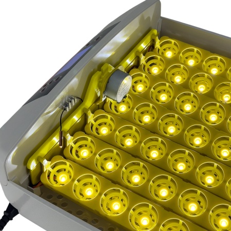 Инкубатор HHD 56 автоматический с овоскопом на 56 яиц