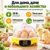 Инкубатор HHD 7 мини автоматический на 7 яиц