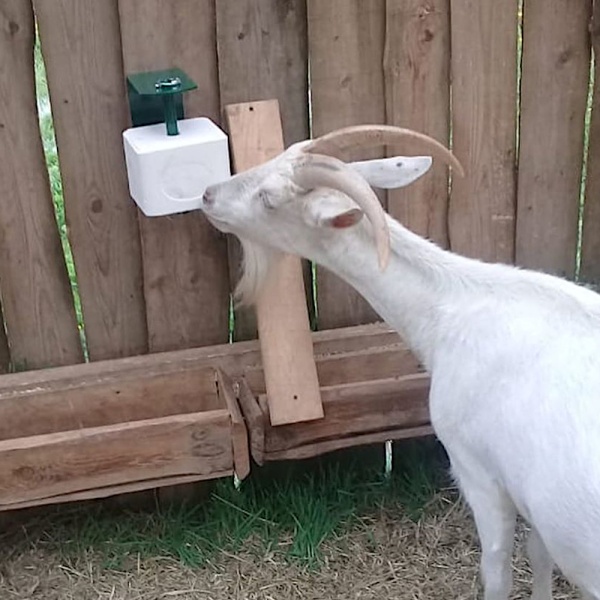 Держатель для соли металл