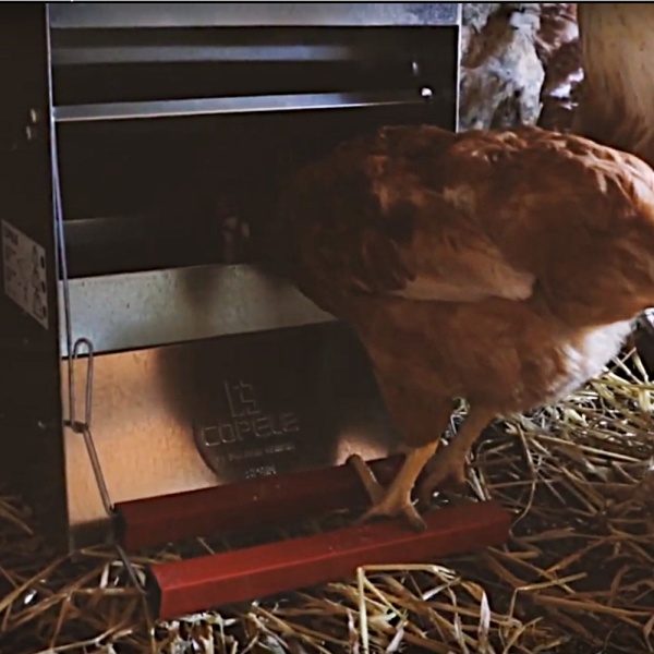 Кормушка педальная Safeed 40 кг для кур