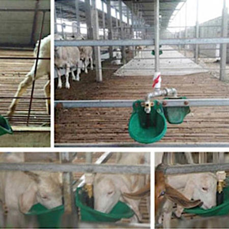 Поилка чашечная автоматическая с алюминиевым клапаном для овец, коз, 2 шт.