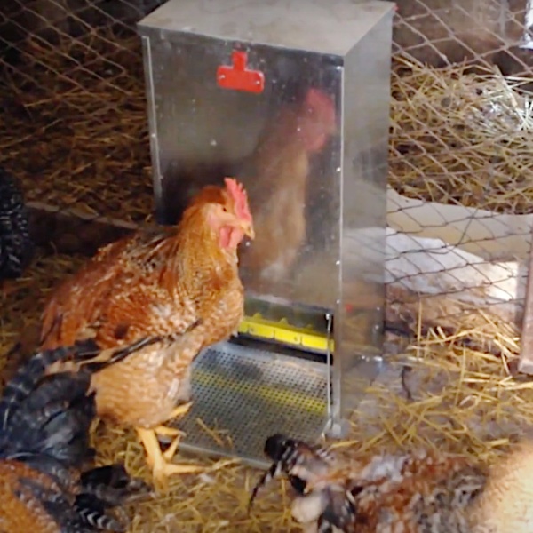 Кормушка педальная ALMA 28 л для кур