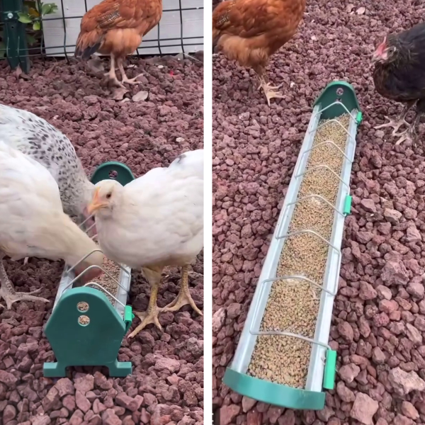 Кормушка лотковая 50 см оцинкованная сталь для цыплят и мелкой птицы