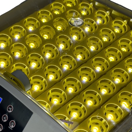 Инкубатор HHD 56 автоматический с овоскопом на 56 яиц