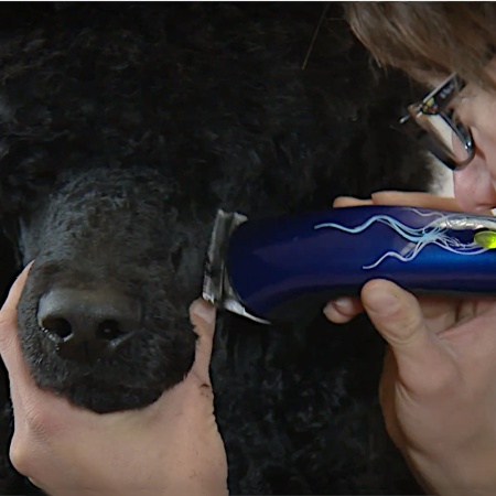 Триммер Heiniger Style Midi для стрижки лап, глаз и хвоста собак, кошек