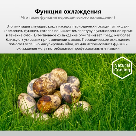 Инкубатор Rcom 20 DO PRO автоматический для яиц с овоскопом