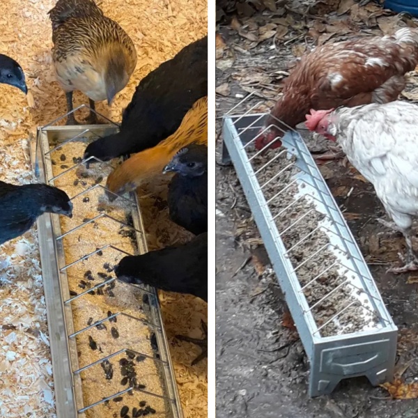 Кормушка лотковая 75 см оцинкованная cталь для кур