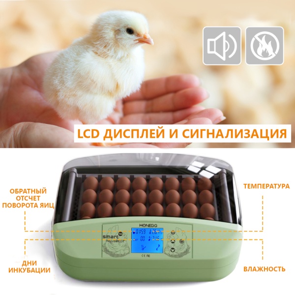 Инкубатор HHD 32 Wonegg автоматический для яиц с роликовым лотком, зеленый, на 32 яйца
