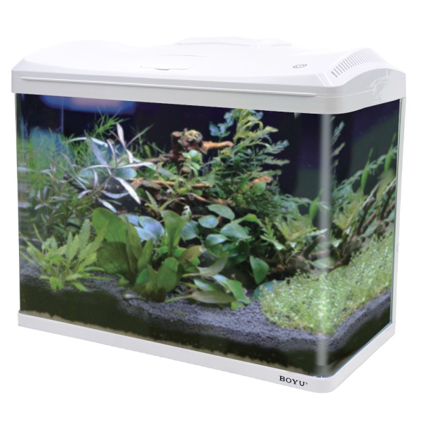 Аквариум с тумбой Boyu EC-600 панорамный, 66 л, с фильтром и LED-лампой, белый