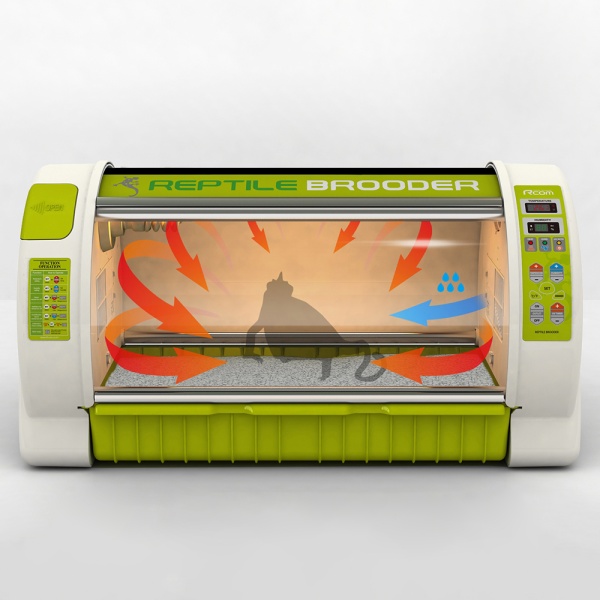 Брудер Rcom Reptile brooder 90 для рептилий L