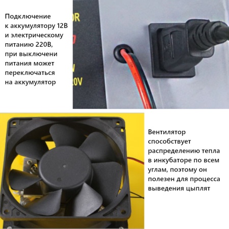 Инкубатор HHD 56 автоматический 220В/12В от сети и аккумулятора на 56 яиц