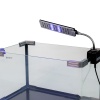 Светильник LED Boyu CL-4L8 с зажимом для аквариума, белый и синий свет
