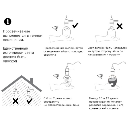 Овоскоп Novital 