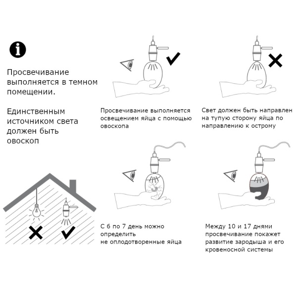 Овоскоп Novital 