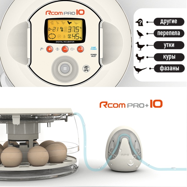 Инкубатор Rcom 10 PRO Plus с овоскопом и помпой, автоматический для яиц