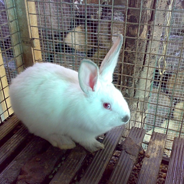 Планка для пола 