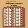 Инкубатор HHD 56H автоматический с контролем влажности и овоскопом на 220В/12В от сети и аккумулятора на 56 яиц