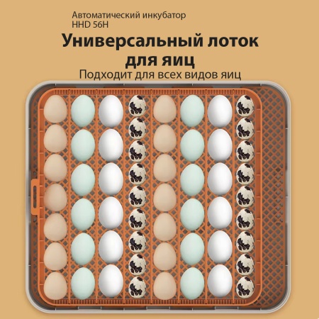 Инкубатор HHD 56H автоматический с контролем влажности и овоскопом на 220В/12В от сети и аккумулятора на 56 яиц
