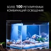Аквариум Pawgether GR2S 30 л, WI-FI, с фильтром и LED-лампой, черный