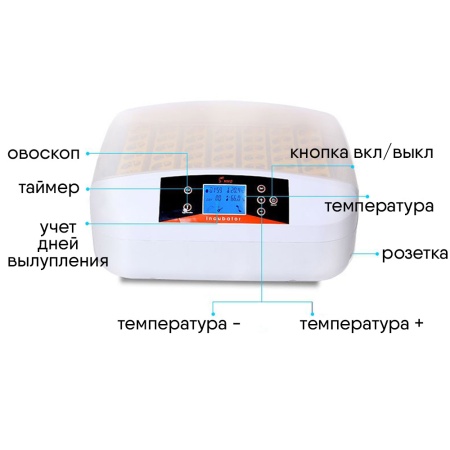 Инкубатор HHD 56 автоматический с овоскопом на 56 яиц