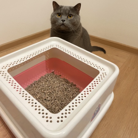 Лоток для кошек с высокими бортами и совком Catidea 44х44х25 см розовый