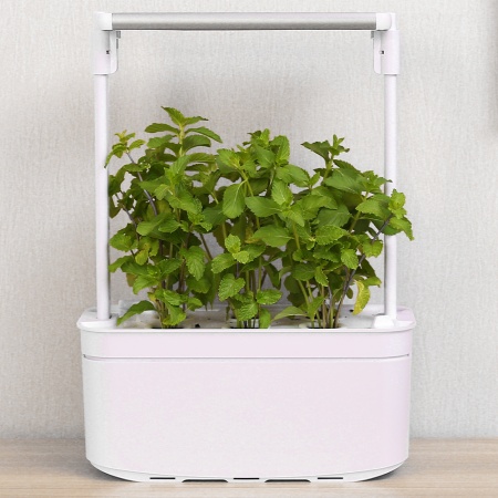 Гидропонная установка HobbyFarm Mini DQ6200-LB-6, домашний умный смарт сад, 6 ячеек, с фитолампой