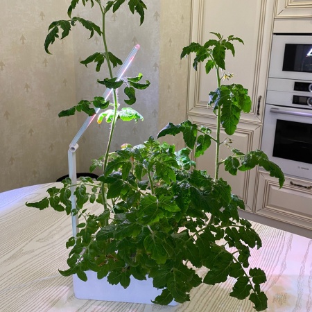 Гидропонная установка HobbyFarm Mini DQ1300, домашний умный смарт сад, с фитолампой