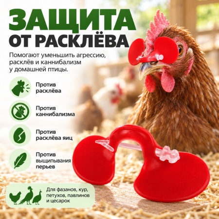 Очки от расклева для птиц, кур, петухов, фазанов со стрелой, 25 шт.
