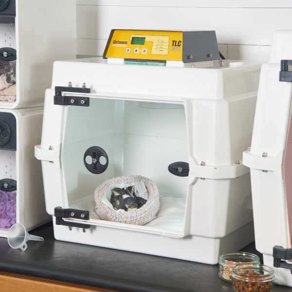 Брудер-питомник Brinsea TLC-40 Advance профессиональный 