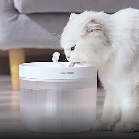 Автопоилка фонтан для собак и кошек Pawgether P200, 2.3 л, белая