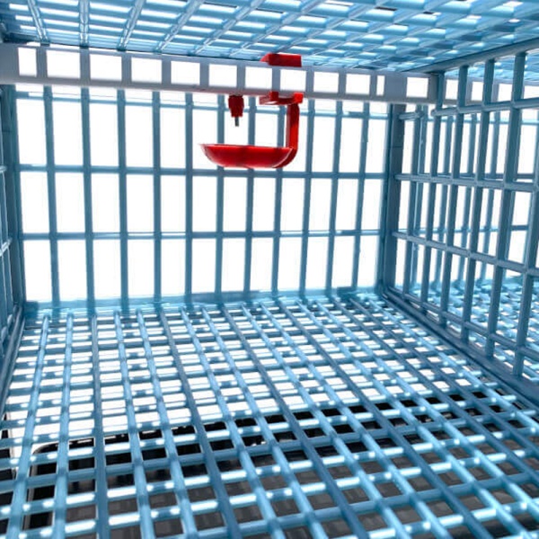 Клетка Comfortplast для перепелов с яйцесборником 3 секции, 3 яруса, 98x61x132 см, пластиковая