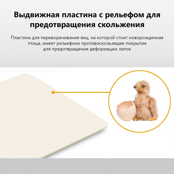 Инкубатор Rcom 50 DO PRO с овоскопом автоматический для яиц