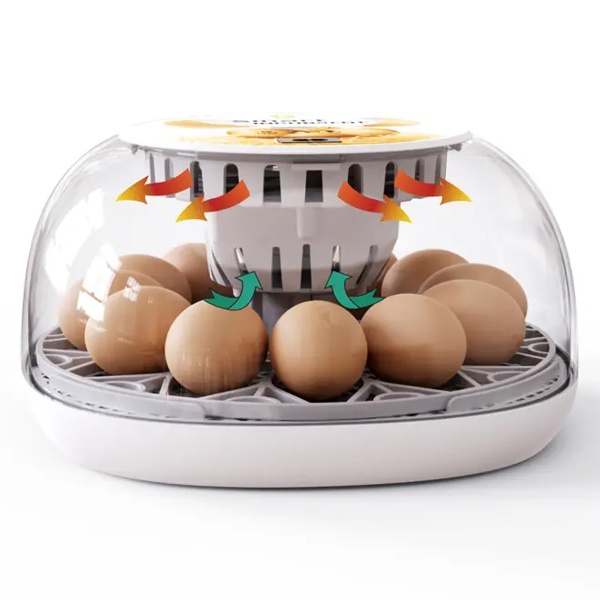 Инкубатор HHD 12 Wonegg мини автоматический на 12 яиц