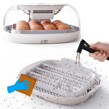 Инкубатор HHD 16 Wonegg мини автоматический с овоскопом на 16 яиц